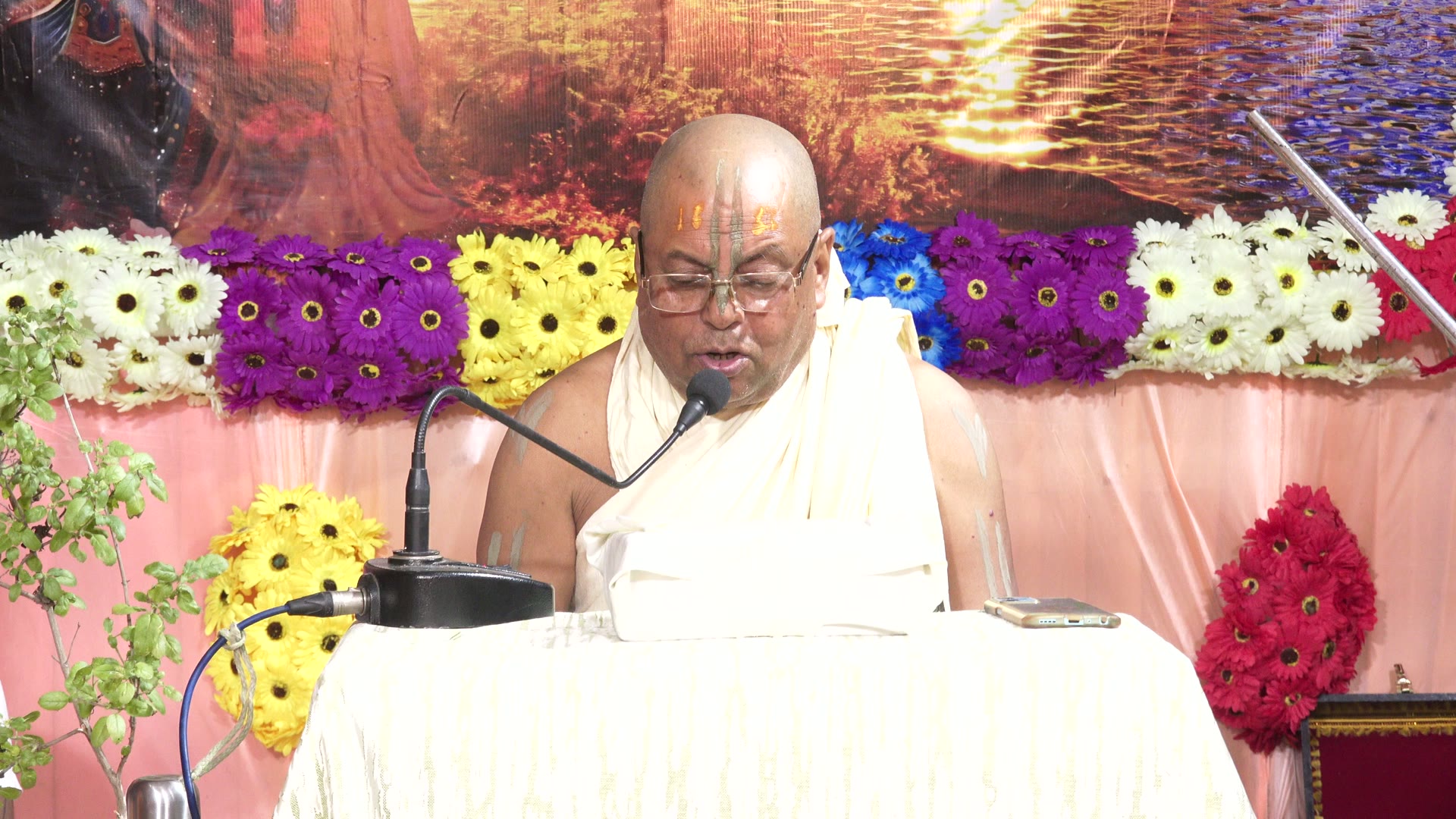 Jhulan Purnima celebrations at Narahari Dham - image 4