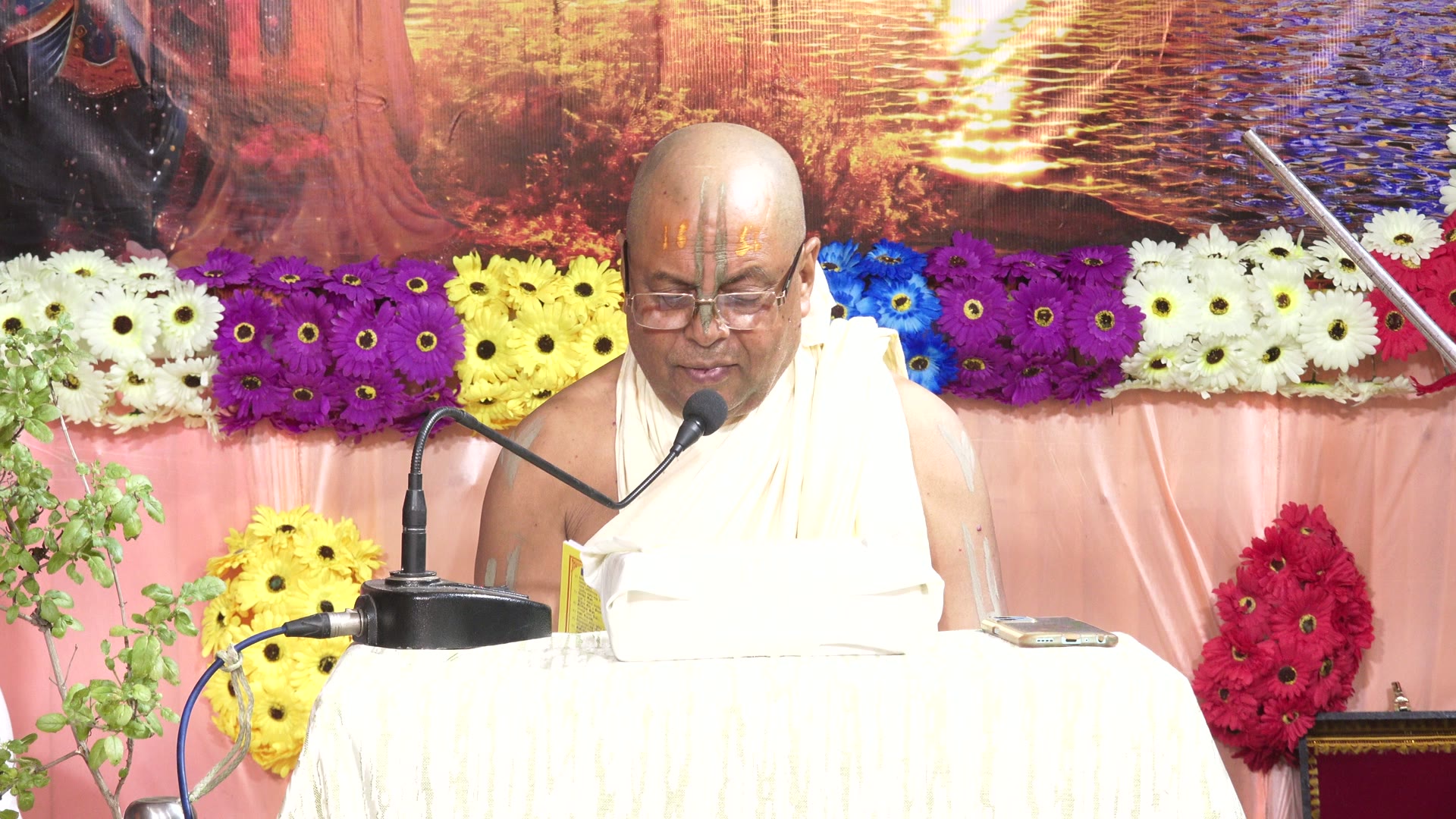 Jhulan Purnima celebrations at Narahari Dham - image 7